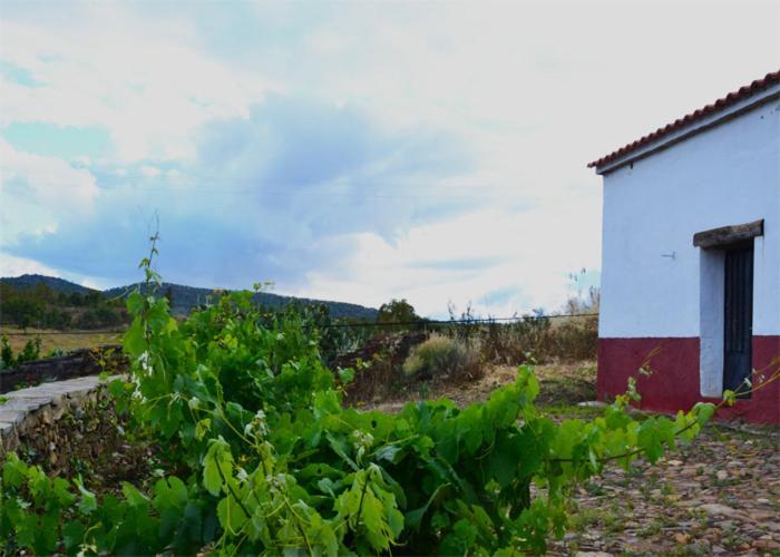 Casa Rural El Abuelo Alonso La Codosera Exterior photo
